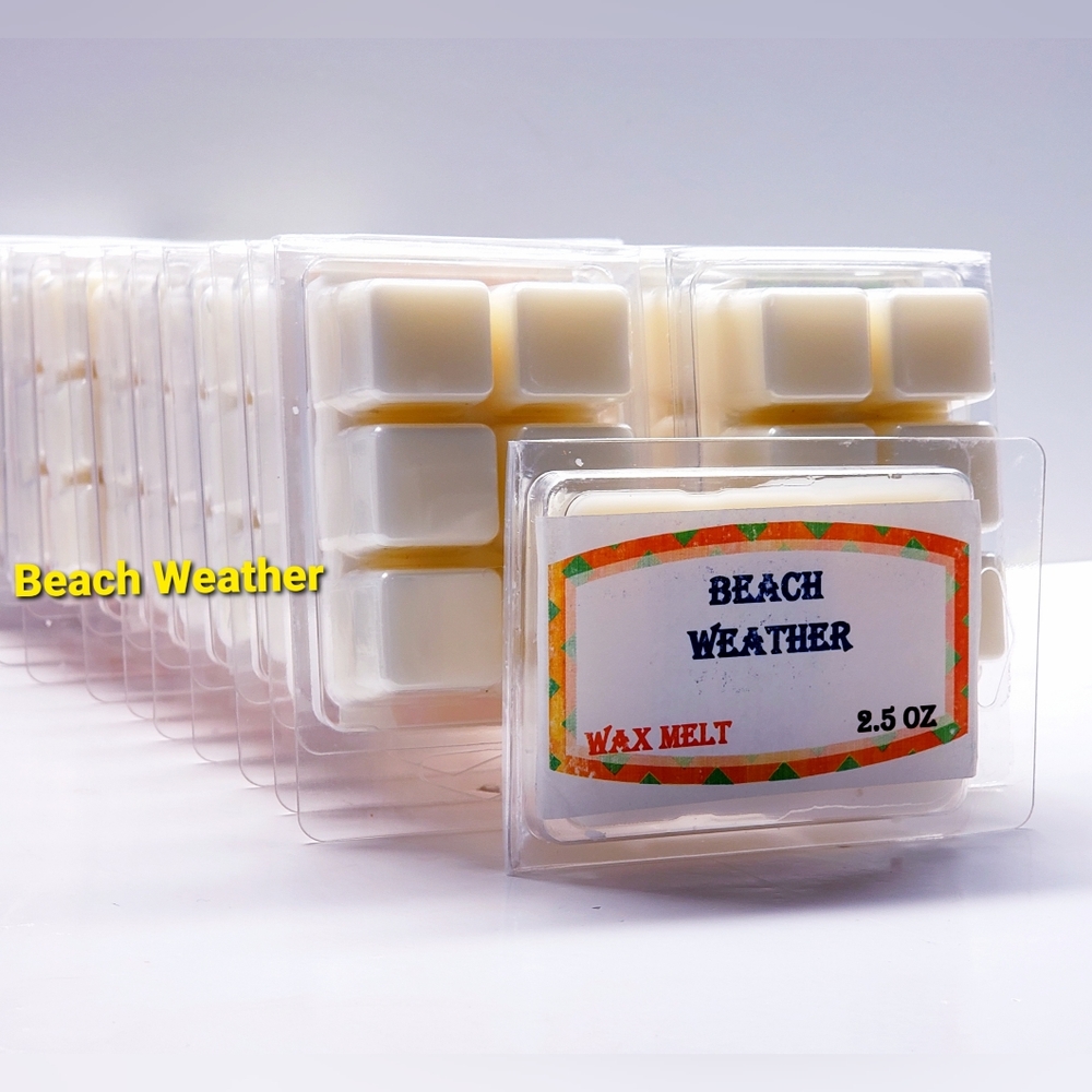 BEACH WEATHER -Bath & Body Works Candle Wax Melts- $8 per pack